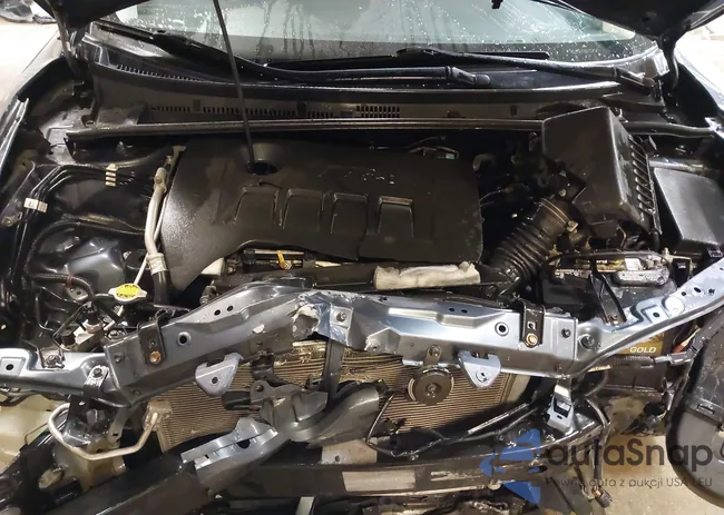 5YFBURHE7GP480605: 41888806