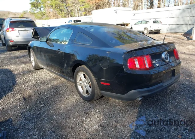 1ZVBP8AM1C5288023: 41888910