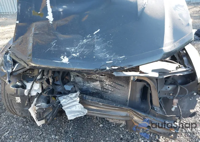 1ZVBP8AM1C5288023: 41888910