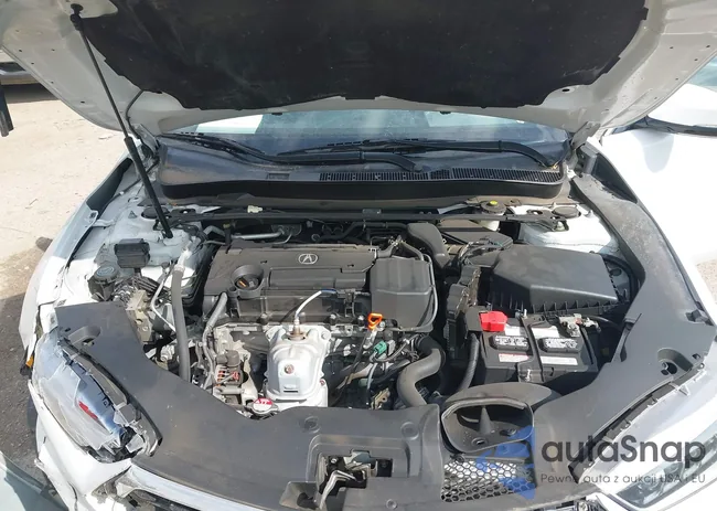 19UUB1F33KA004657: 41890501