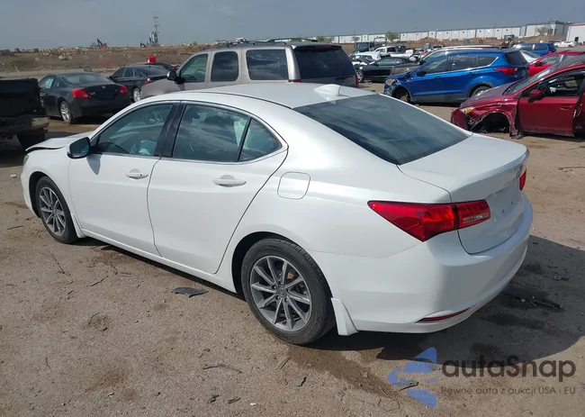 19UUB1F33KA004657: 41890501