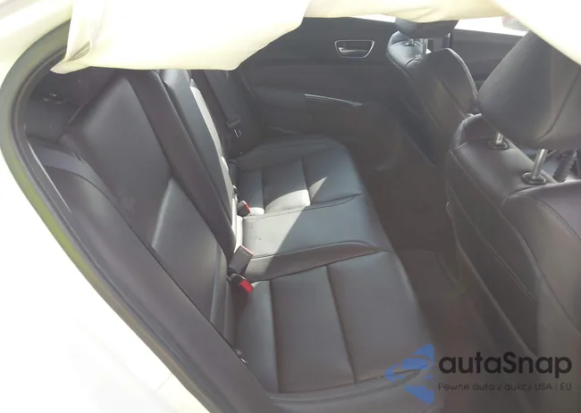 19UUB1F33KA004657: 41890501