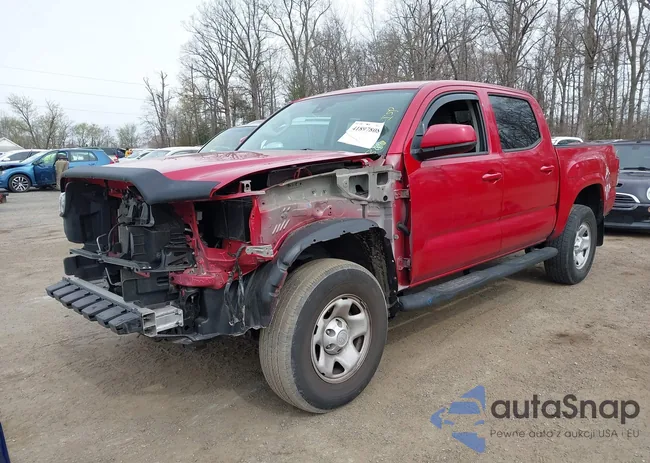 3TYCZ5ANXNT076537: 41897808