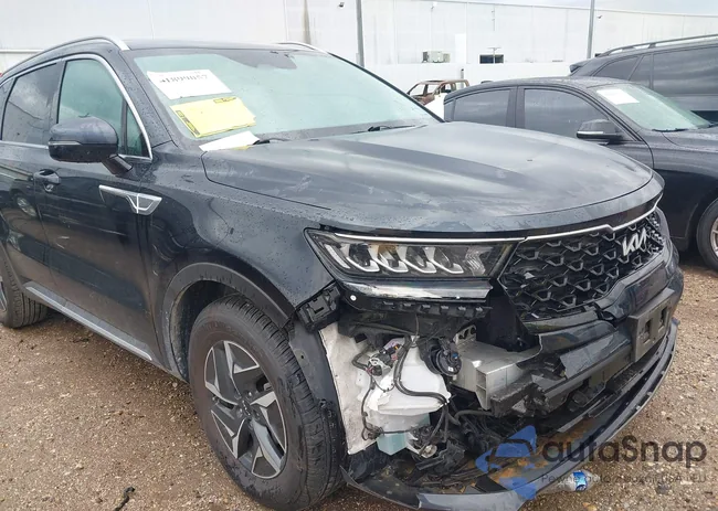 KNDRG4LG0N5113413: 41899057