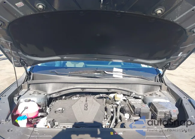 5XYRG4JC0SG351796: 41900322