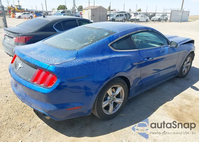 1FA6P8AM0H5263048: 41903231