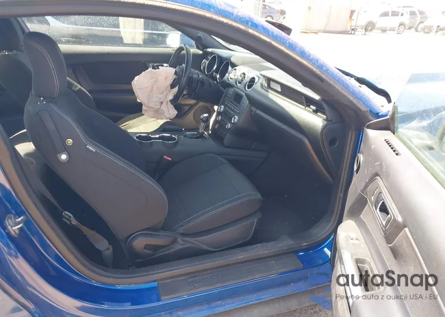 1FA6P8AM0H5263048: 41903231