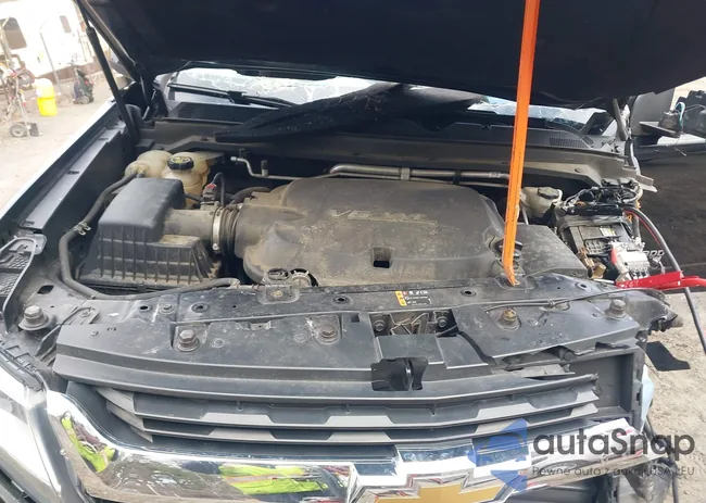 1GCGTCEN2J1134404: 41904652