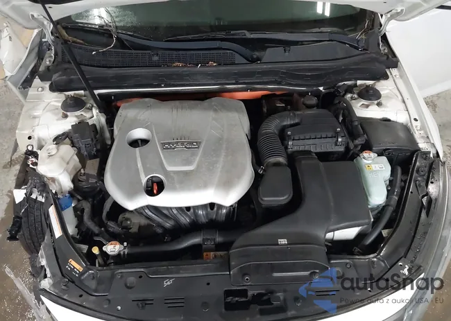 KNAGM4AD8F5078935: 41905758