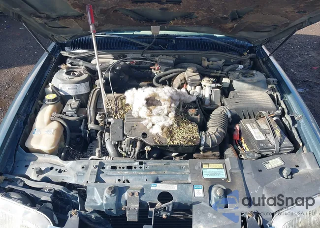 1G4NJ52T6TC435529: 41905927