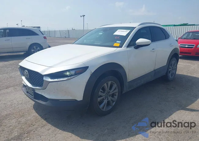 3MVDMBCM1PM552256: 41908549