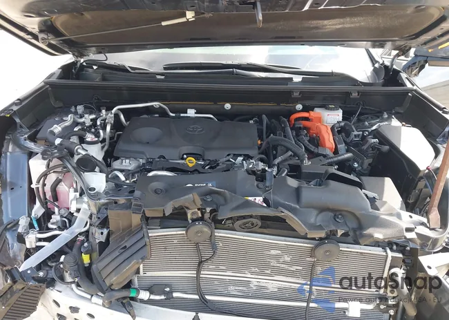 JTMAB3FV0RD208386: 42906687