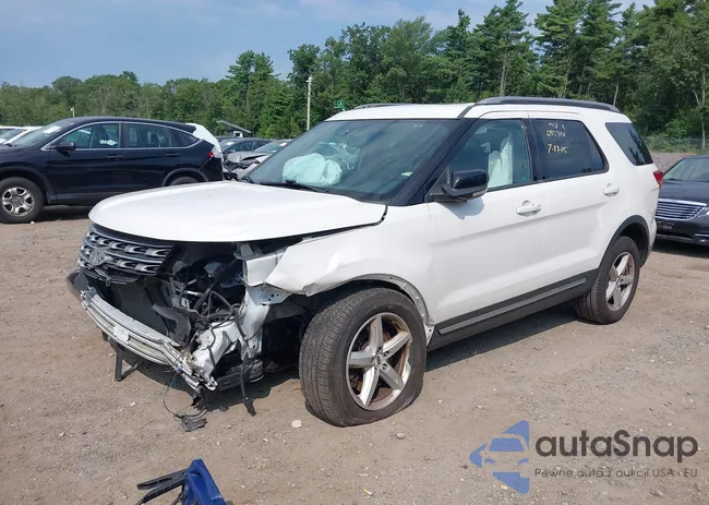 1FM5K8D81HGD09201: 42906719