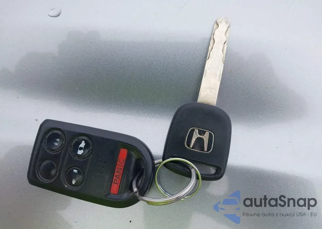 5FNRL38409B006953: 42906803