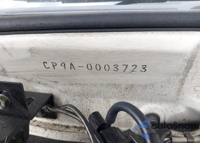 CP9A0003723: 42906549