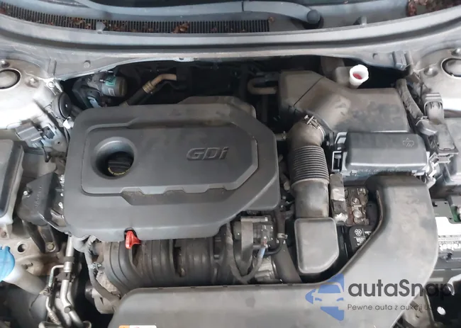 5NPE24AF4HH563108: 42906673