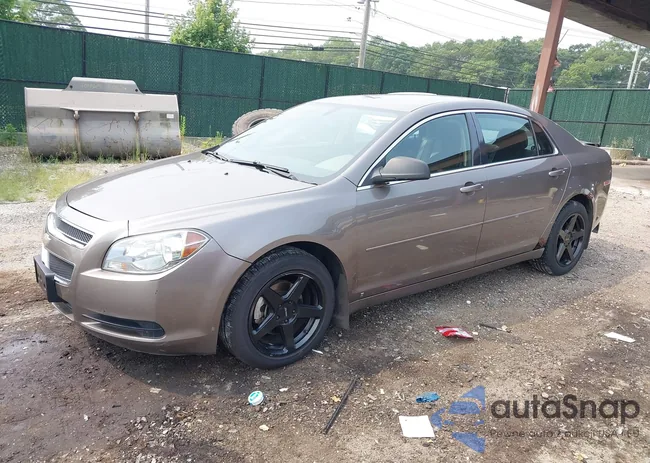 1G1ZB5EB6AF109921: 42907786