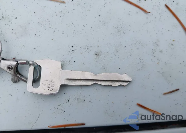 4F4DR17X1RTM54504: 42909162