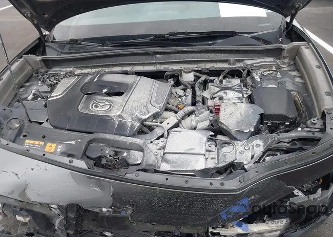 3MVDMBBM3PM531815: 42908505