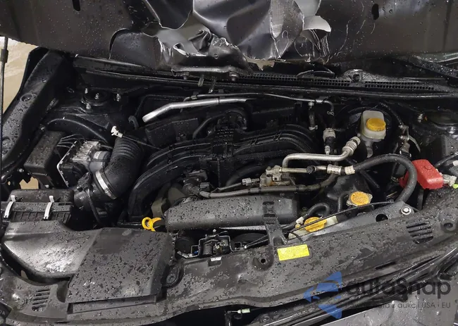 JF2GTHMCXM8315583: 42909669