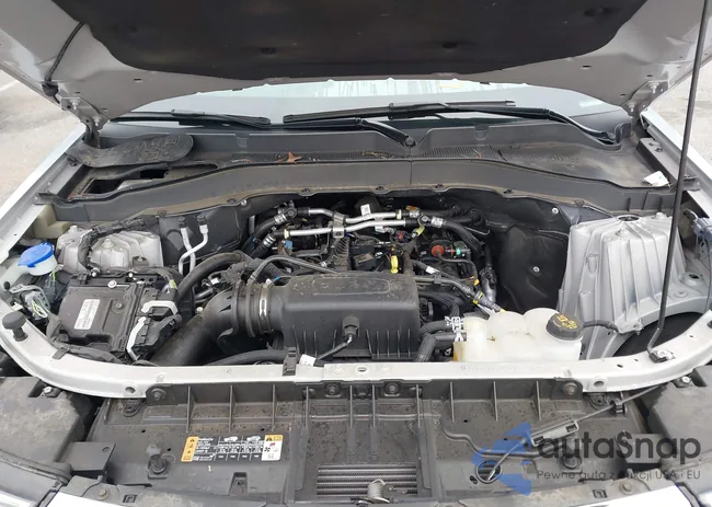 1FMSK8DHXNGC41981: 42911990