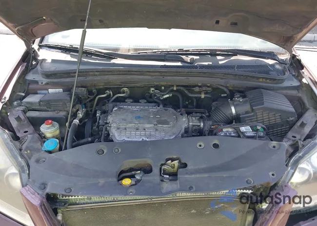 5FNRL38687B418441: 42912191