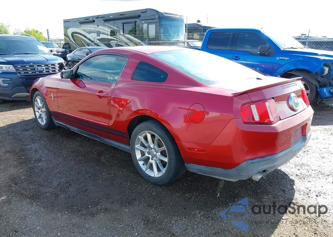 1ZVBP8AMXB5128799: 42911536