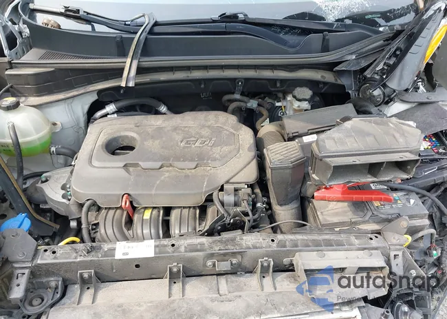 KNDPMCAC9M7844869: 42911584