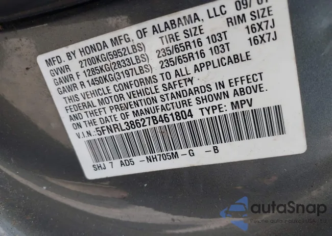 5FNRL38627B461804: 42912584