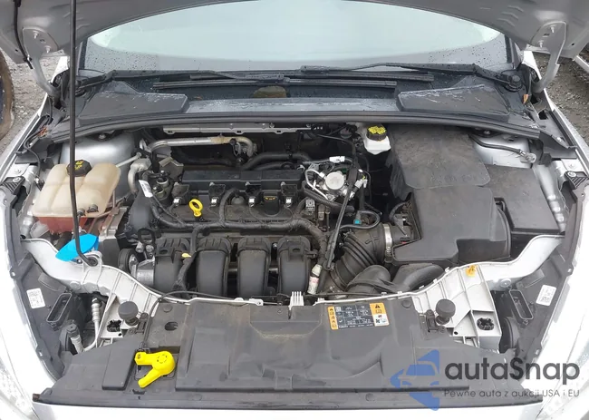 1FADP3F22JL201055: 42913314