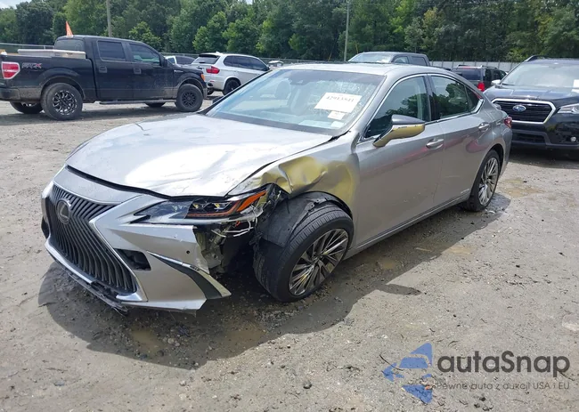 JTHB21B19K2002768: 42913541