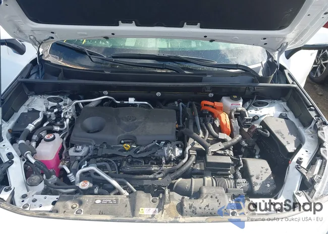 JTMCB3FV6PD113935: 42913574