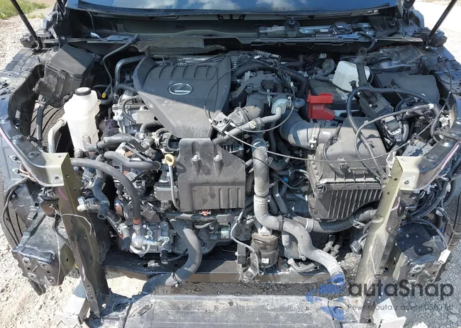 2T2BAMCA8PC034412: 42916074