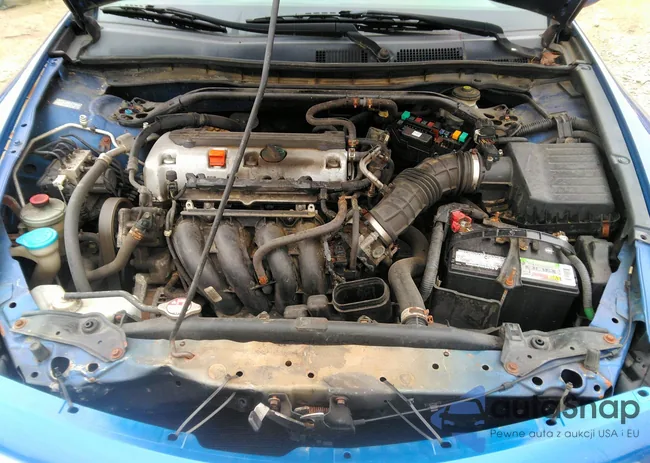 1HGCS12328A001646: 42916129