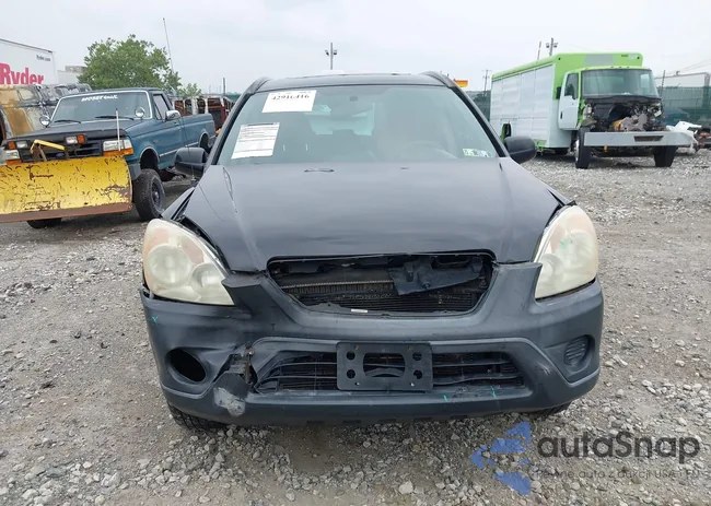 SHSRD78875U321307: 42916416