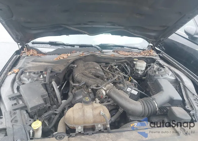 1FA6P8AM9F5354445: 42916599