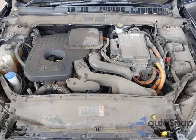 3FA6P0LU2LR231030: 42916649