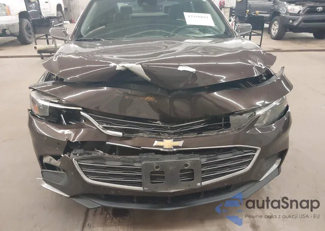 1G1ZJ5SU1GF300986: 42918021