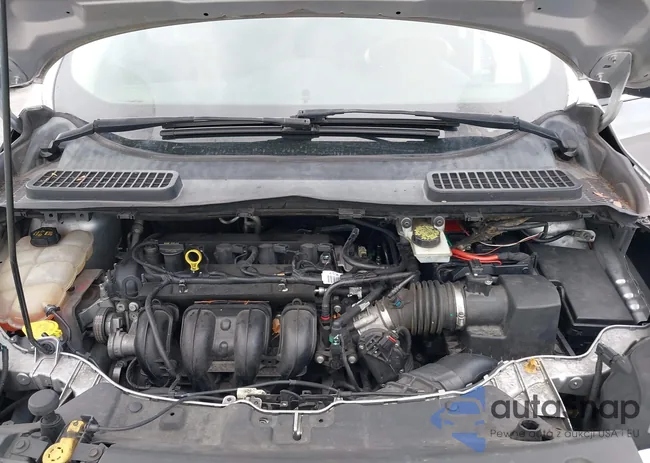 1FMCU0F70EUD29640: 42917293