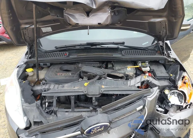 1FADP5CU5EL516567: 42917494