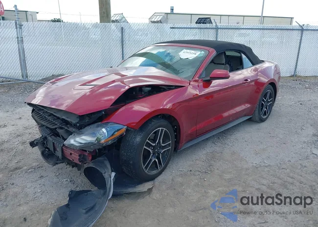 1FATP8UH4K5129605: 42919258