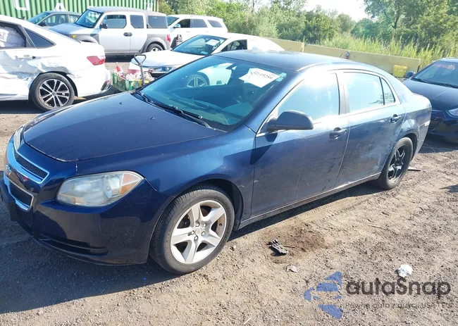 1G1ZB5EB3AF227828: 42919259