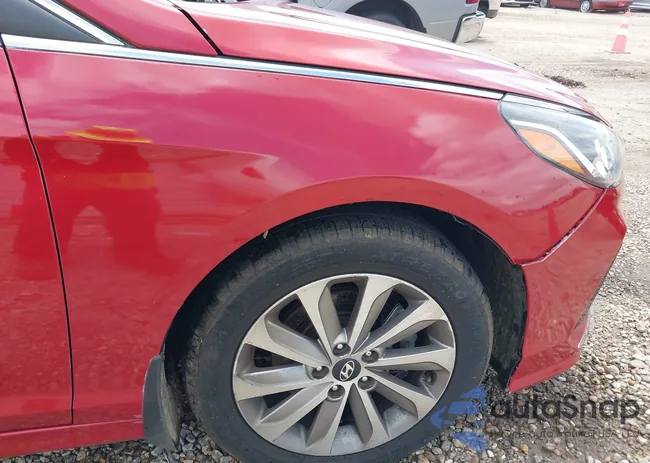 5NPE24AF3KH796601: 42919845