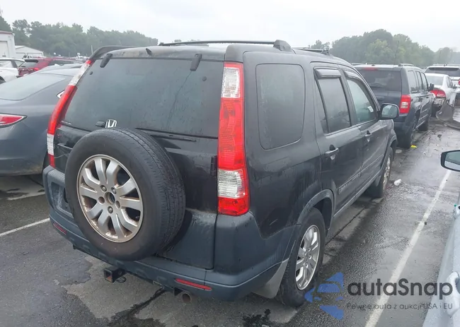 SHSRD78805U320855: 42919976