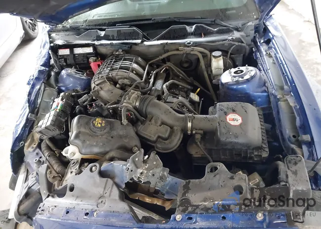 1ZVBP8AM1D5268176: 42919451