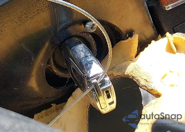 WDBTK56F69T101098: 42921787