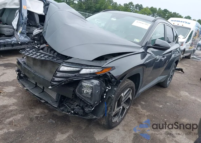 5NMJFCDE2RH303224: 42921793