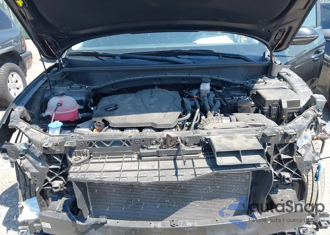 5NMJBCAE6PH217413: 42922122