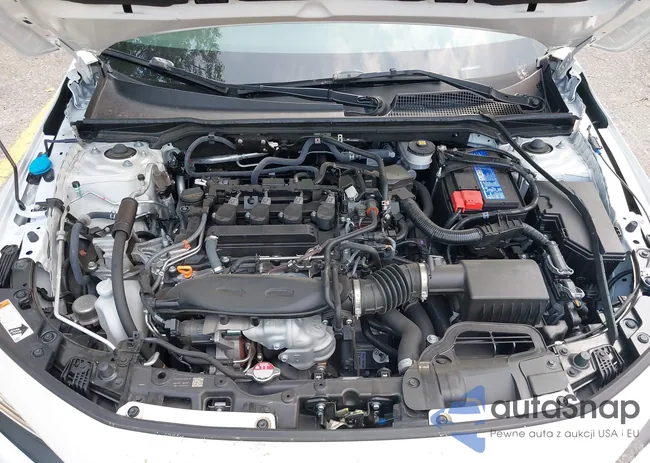 2HGFE1F74RH313214: 42922280