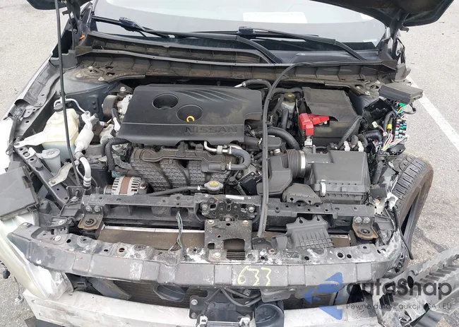 1N4BL4BV6LC248794: 42923448